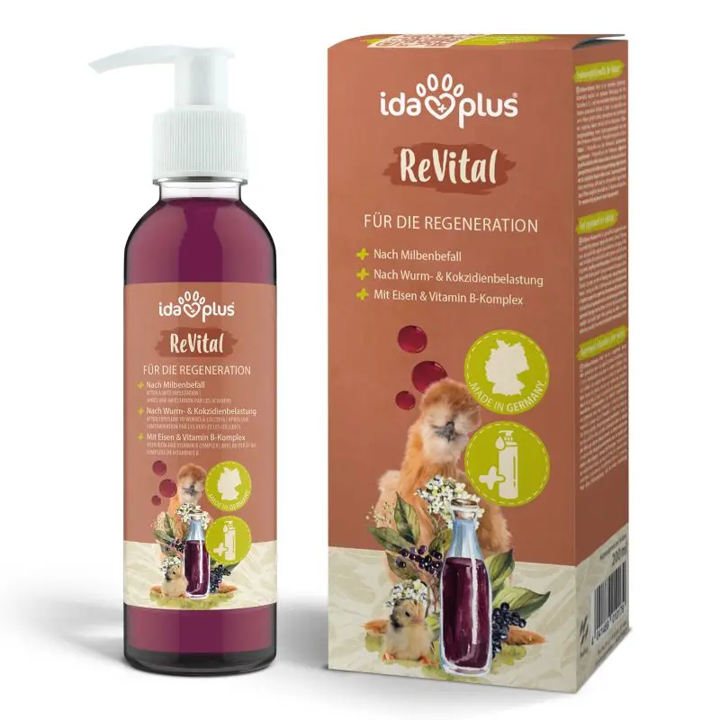 ReVital Angebot