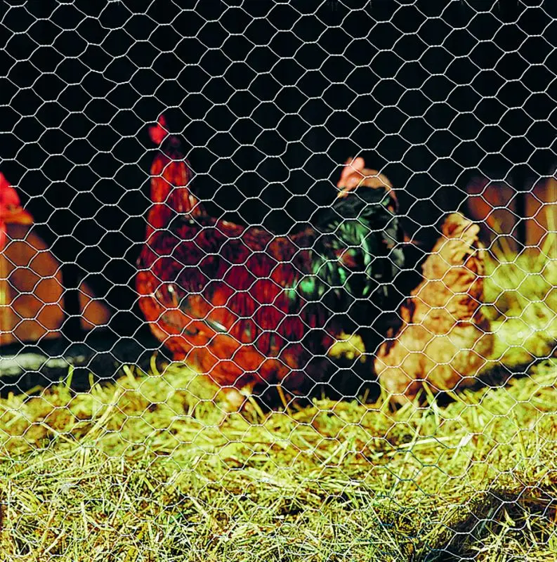 Sechseckgeflecht tannengrün Knallerangebot