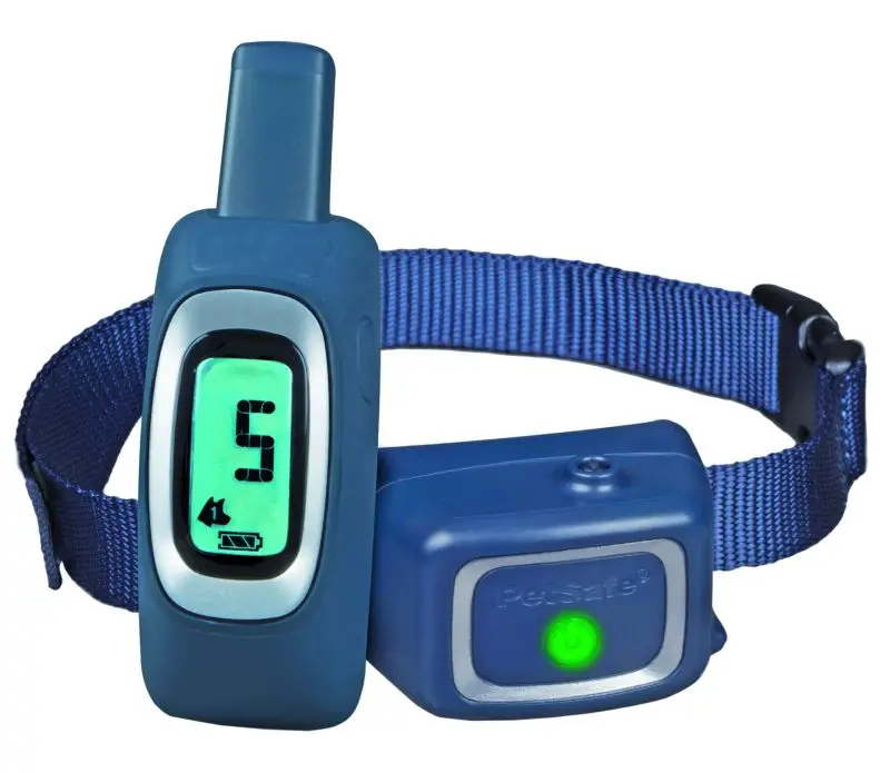 Nur Für Kurze Zeit Ferntrainer Pet Safe