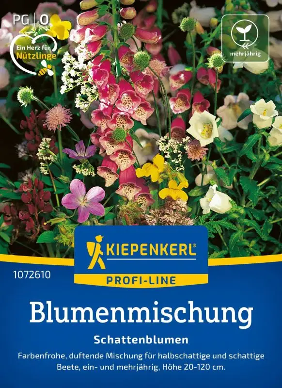 Nur Heute Schattenblumen Mischung