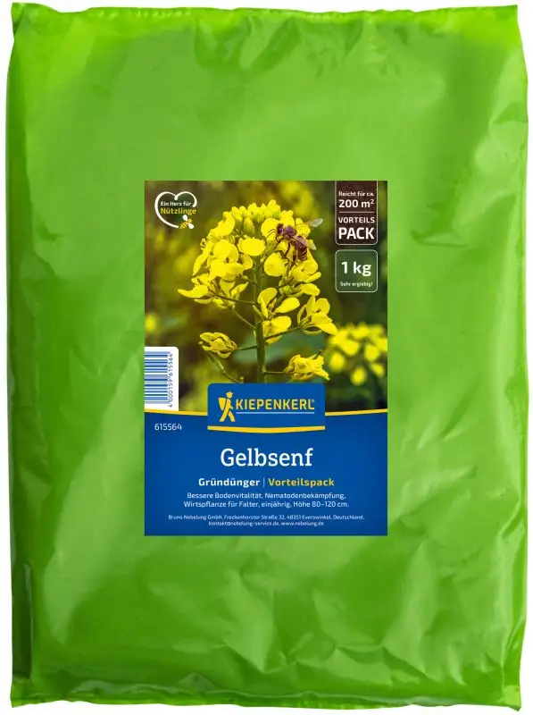 Gelbsenf 1 kg von Kiepenkerl Jetzt Bestellen