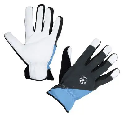 Winterhandschuh Polartex Preisreduziert