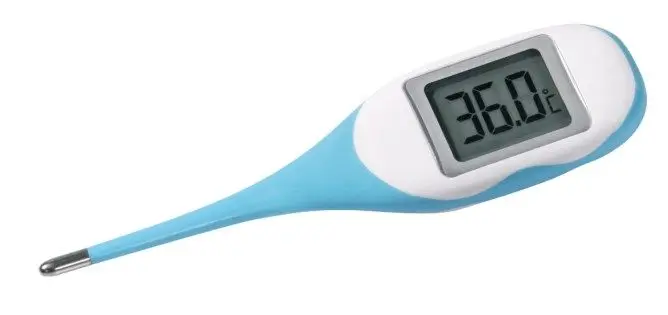Garantierte Lieferung Digital Thermometer MAXI