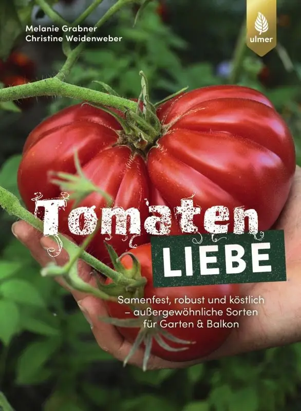 Tomatenliebe Begrenztes Angebot