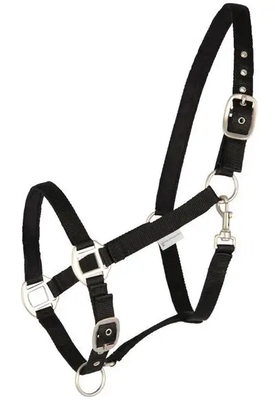 Halfter Nice für Pony Meistverkauft
