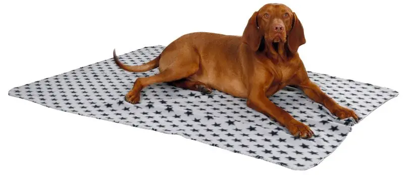 Direkt Vom Hersteller Hundedecke Stella