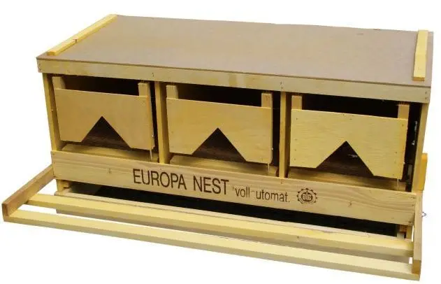 Super-Preis Legenest Europa - Mittelteil