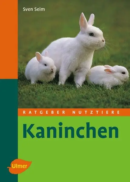 Neu Kaninchen