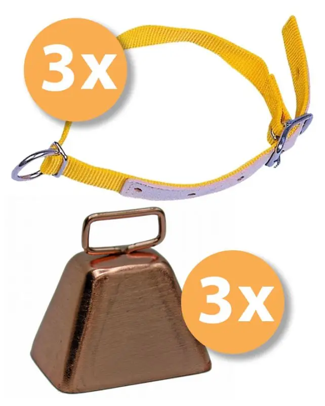 Halsriemen und Glöckchen-Set Meistverkauft