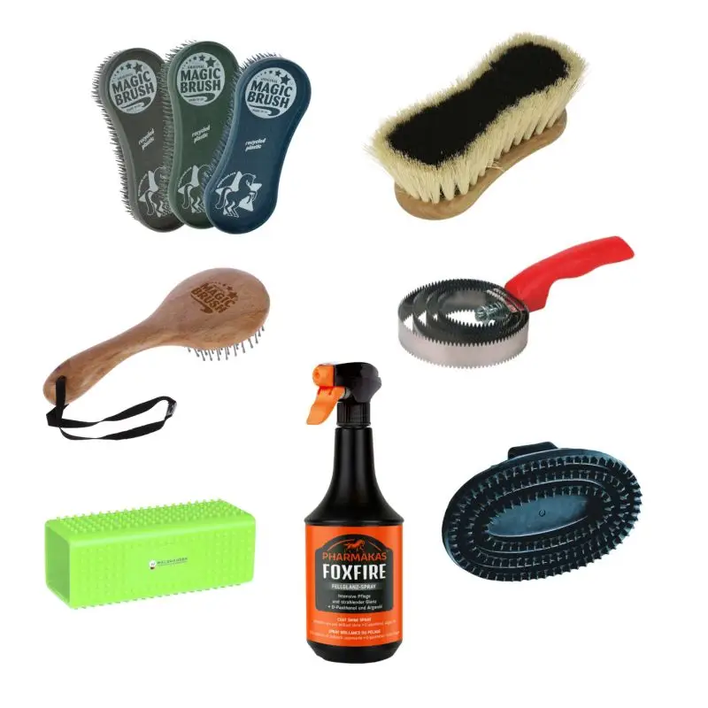 Must-Have Pferdepflege-Set