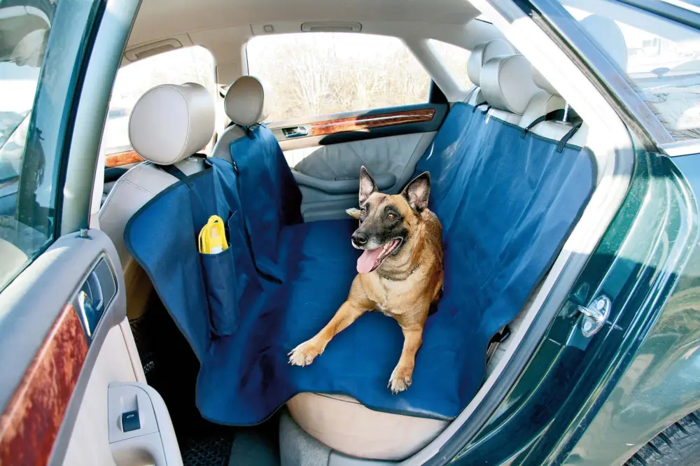 Schnäppchen Auto-Schondecke