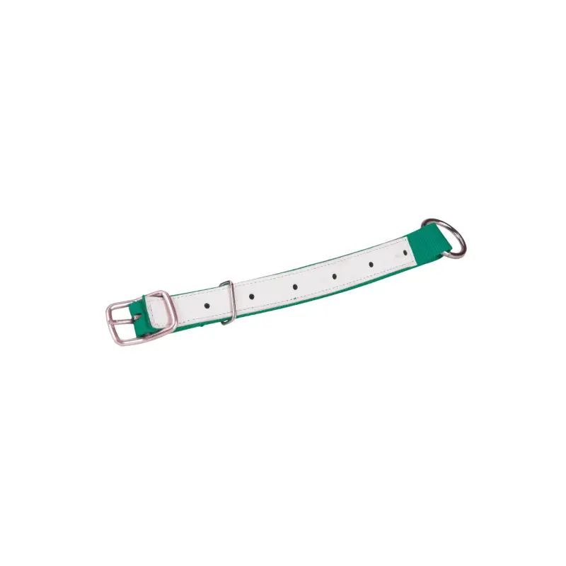 Halsriemen für Schafe grün 60 x 2,5 cm Begrenztes Angebot