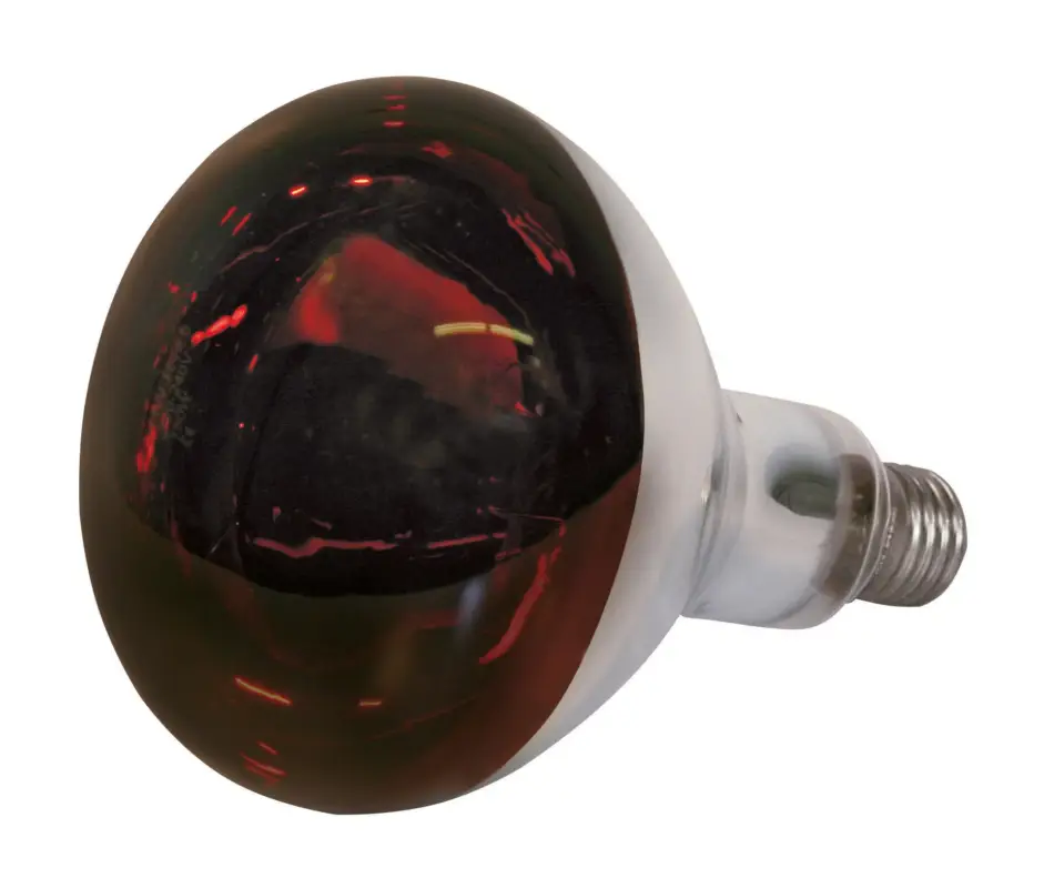 Preisknaller Hartglas-Infrarotlampe rot, 250 W