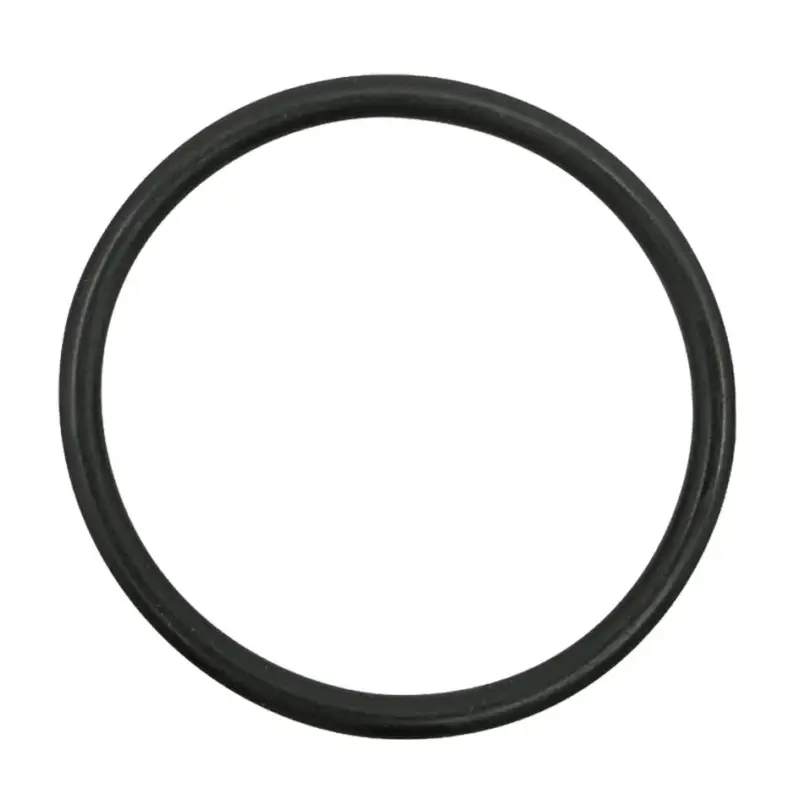 Super-Preis Dichtung Case-IH für Hubwelle 48 x 4 mm, 3134564R3