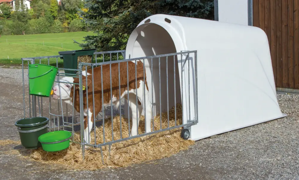 CalfHouse Master Plus mit schwerer Umzäunung Preiswert