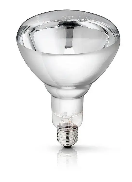 Neue Kollektion PHILIPS Hartglas-Infrarotlampe klar, 150 W