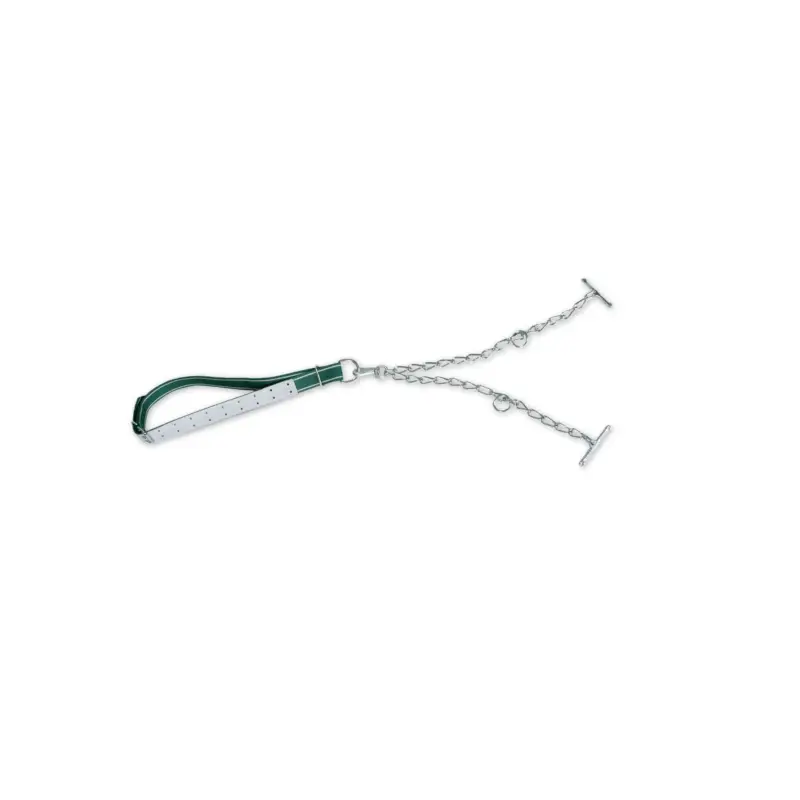 Schneller Versand Jungbullenanbindung Standard 150 x 5 cm mit Doppel-Runddornschnalle