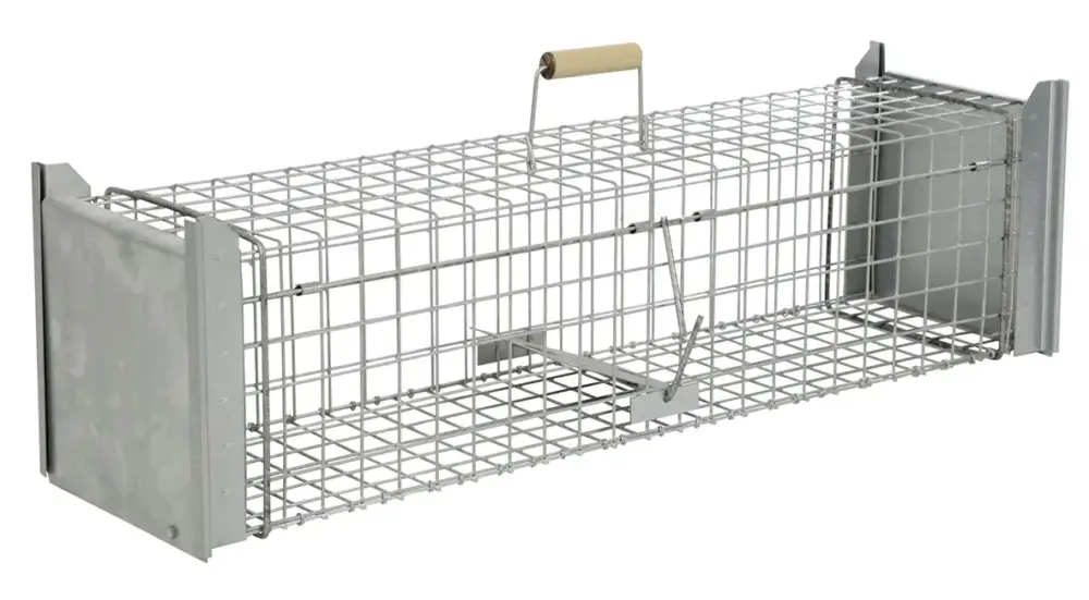 cit Kastenfalle Alive Predator Super 105 x 26 x 26 cm Finale Aktion