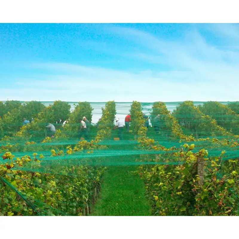 Vogelschutznetz florinotex 6 x 25 m Highlight