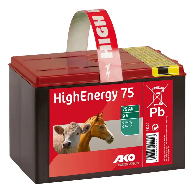 Saline Trockenbatterie 9 V / 75 Ah High Energy Saisonangebot