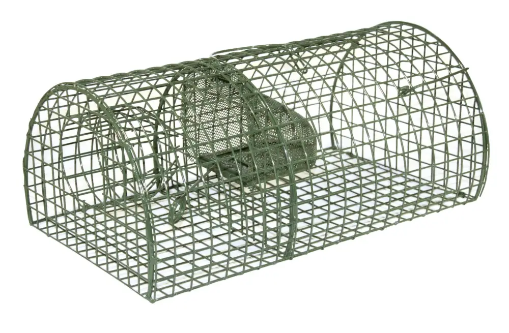 cit Ratten-Massenfänger Alive MultiRat Must-Have