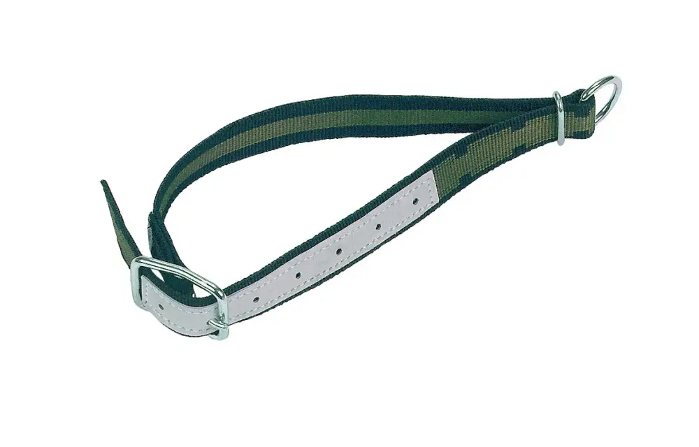 Halsband mit Ovalglied und D-Ring 85 x 4 cm Sonderangebot