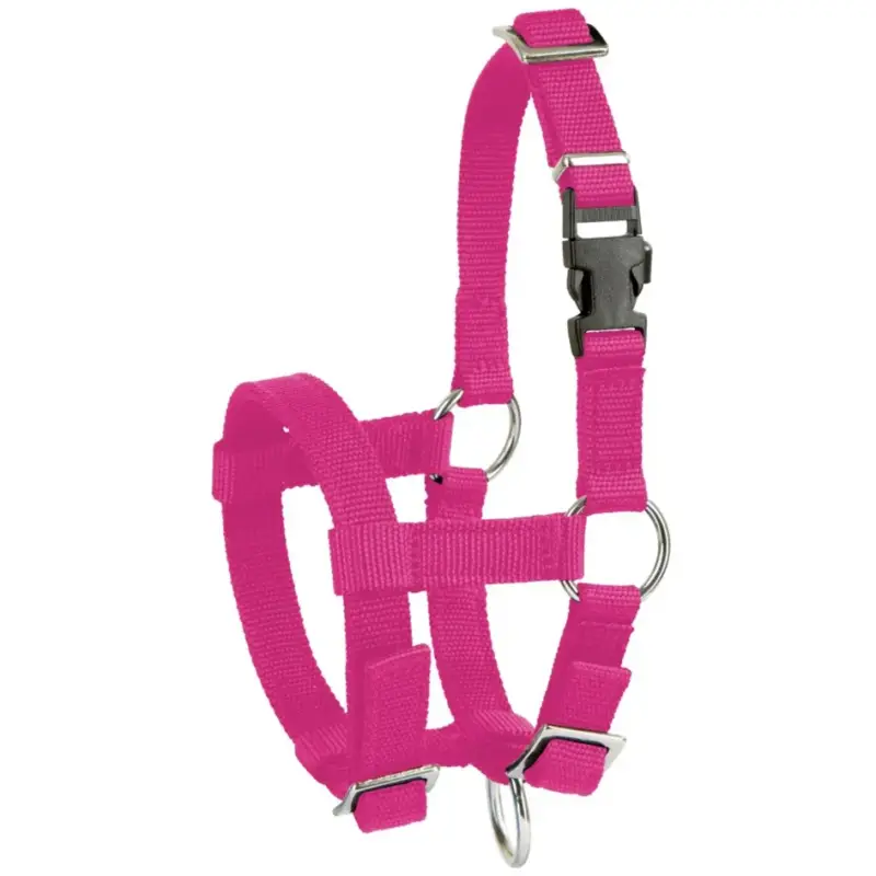 Neu Im Sortiment Alpaka-Halfter pink