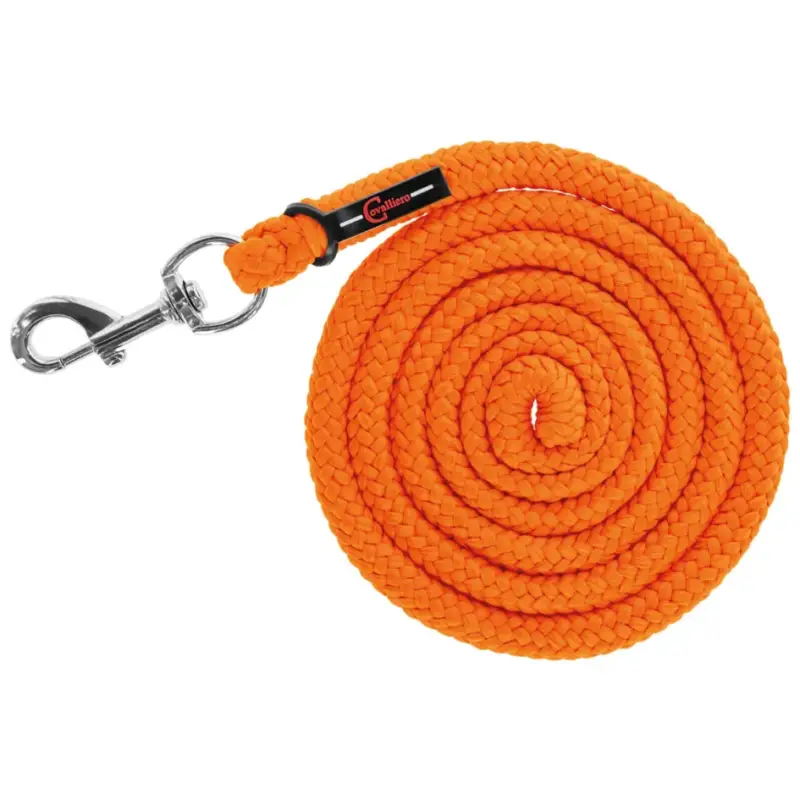 Finale Aktion Führstrick Hippo mit Karabinerhaken orange, 200 cm
