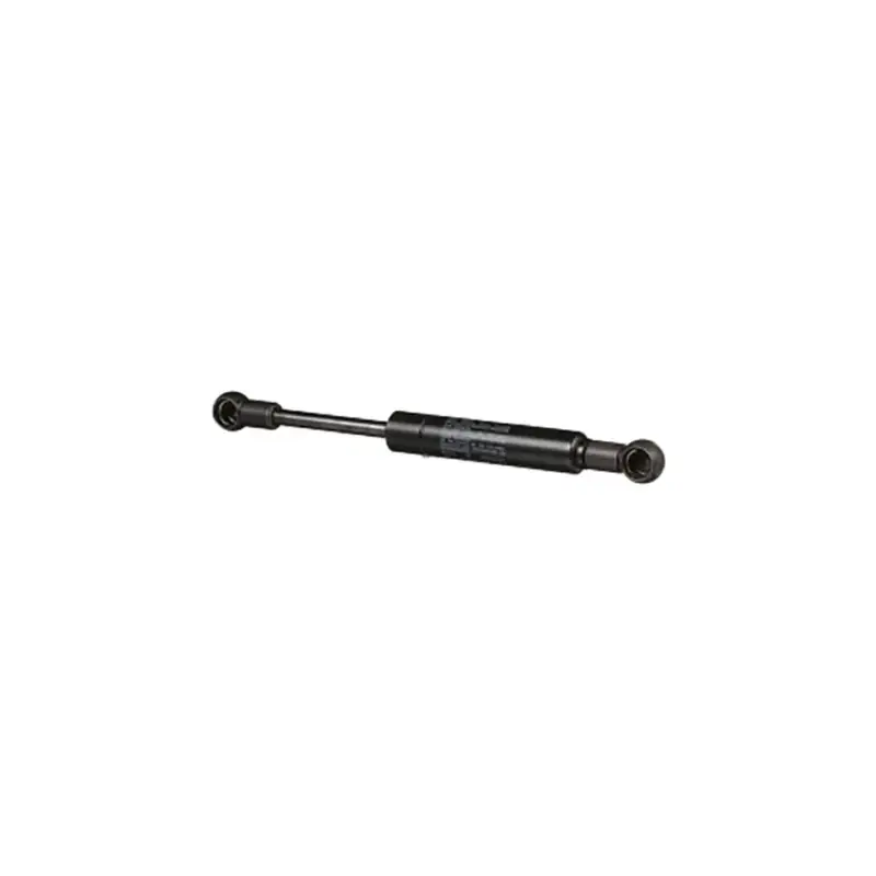 Expressversand Gasdruckfeder für Tür, 5183854