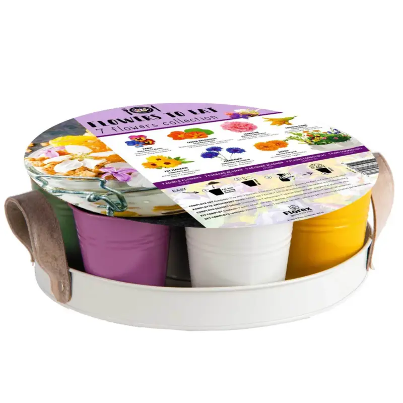 Schneller Versand XL Samen-Kollektion mit essbaren Blumen, inkl. Eimer & Tablett