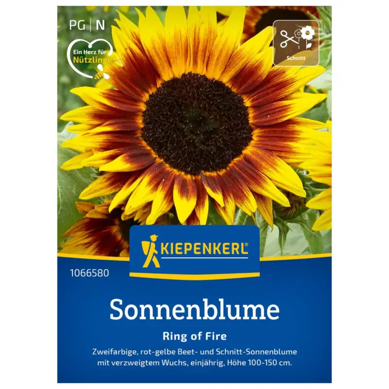 Blumensamen, Sonnenblume 'Ring of Fire', gelb & rot Sichere Zahlung