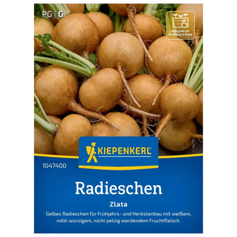 Saisonangebot Gemüsesamen, Radieschen 'Zlata', gelb