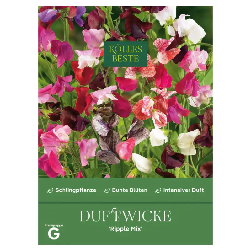Kölles Beste Blumensamen, Duftwicke 'Ripple Mix' Bestpreis