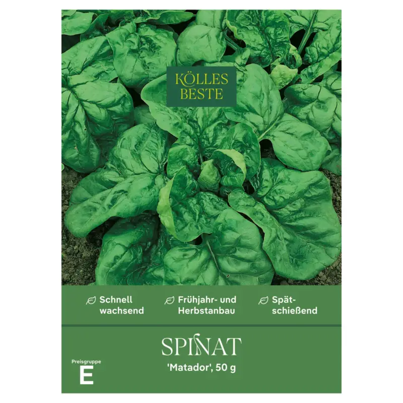 Kölles Beste Gemüsesamen, Spinat 'Matador', 50g Neue Ware