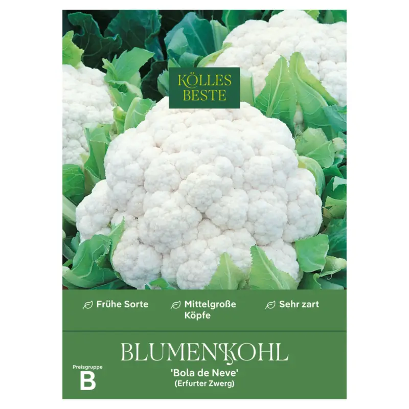Kölles Beste Gemüsesamen, Blumenkohl 'Bola de Neve' Geprüft