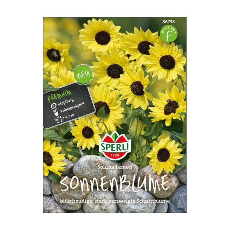 Nur Für Kurze Zeit Blumensamen, Sonnenblume 'Soluna Lemon'