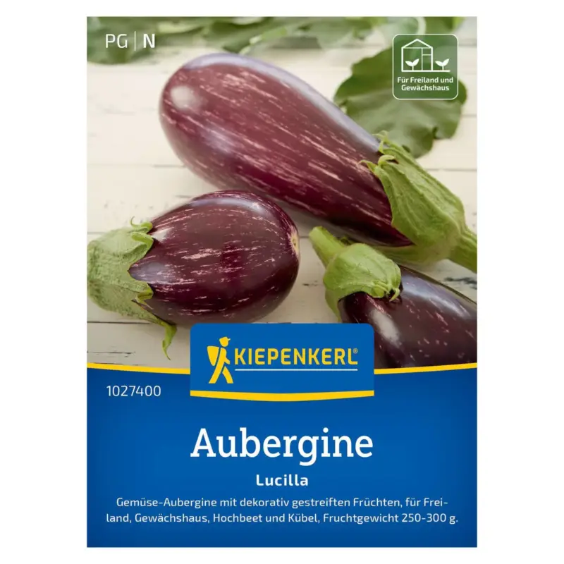 Nur Für Kurze Zeit Auberginensamen, Aubergine 'Lucilla'