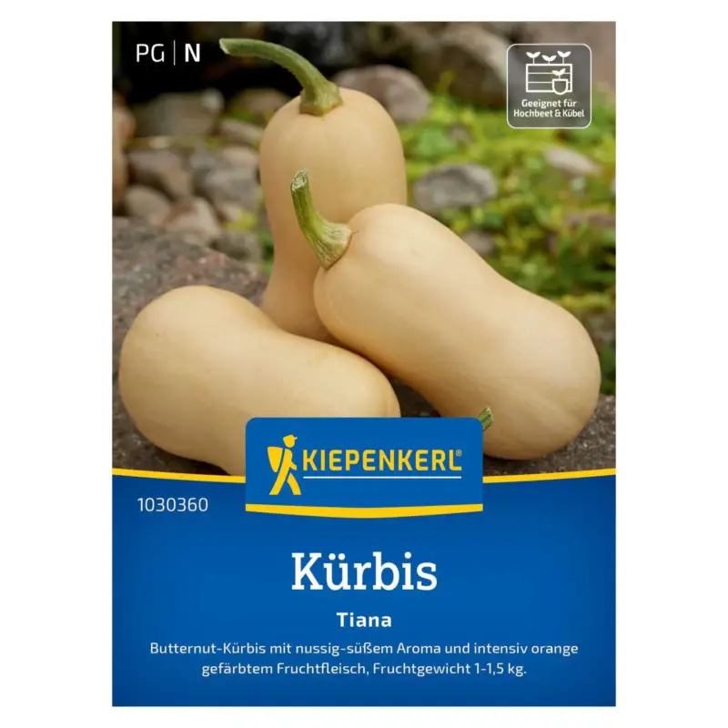 Saatgut, Moschus-Kürbis, Butternut-Kürbis, Kürbis 'Tiana' Wochenendangebot