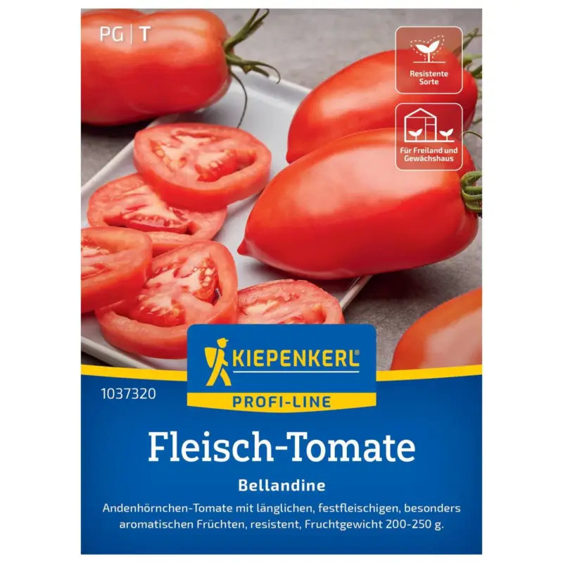 Tomatensamen, Salat-Tomaten 'Bellandine' Neu