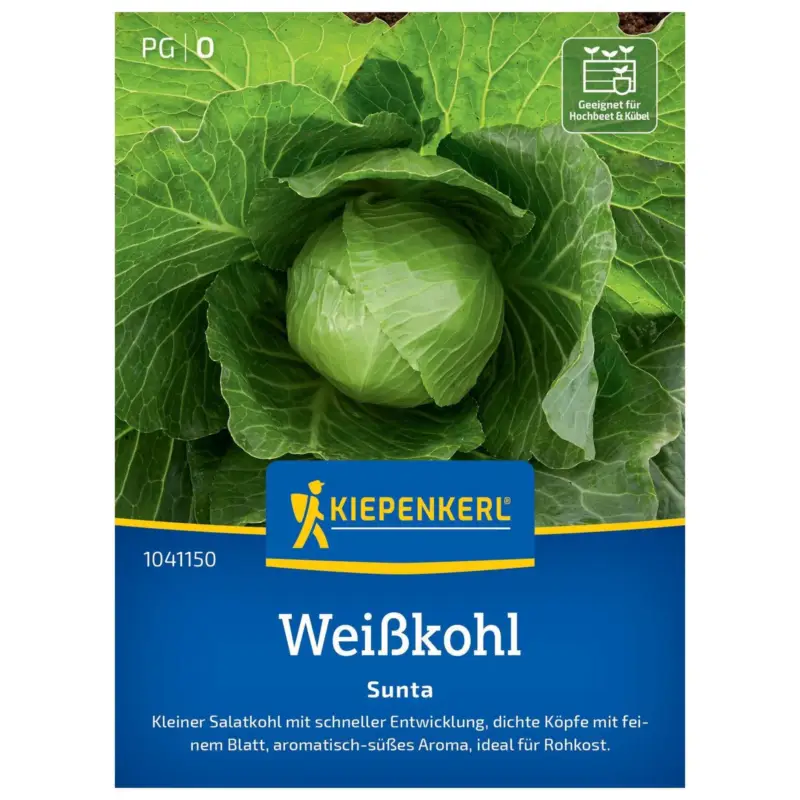 Saatgut, Weißkohl 'Sunta' Top-Seller