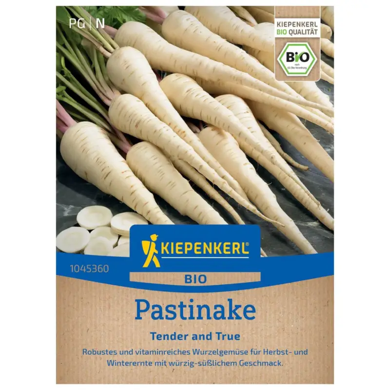 Super-Preis Bio Pastinakensamen