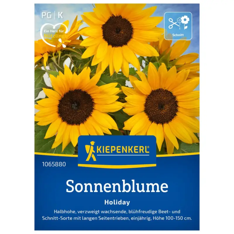 Blumensamen, Sonnenblume 'Holiday' Jetzt Bestellen