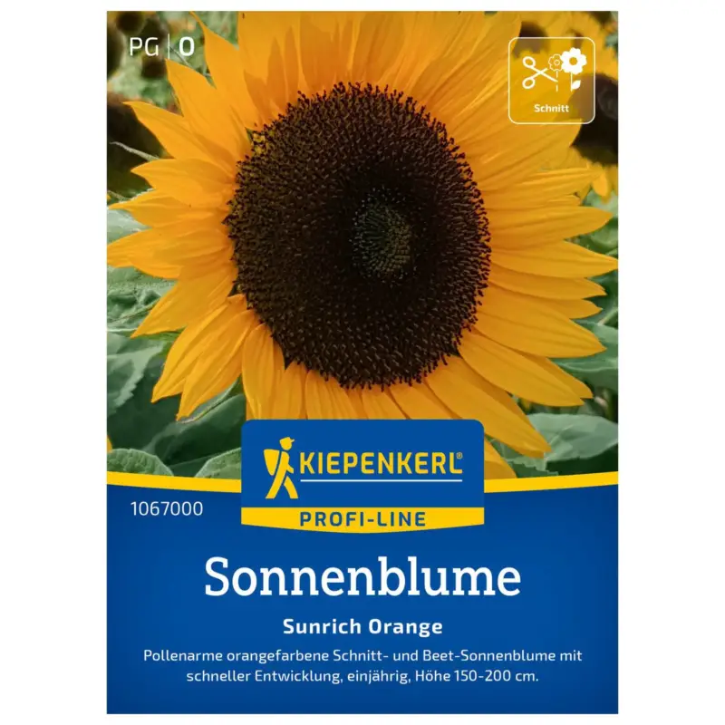 Begrenztes Angebot Blumensamen, Sonnenblume 'Sunrich Orange'