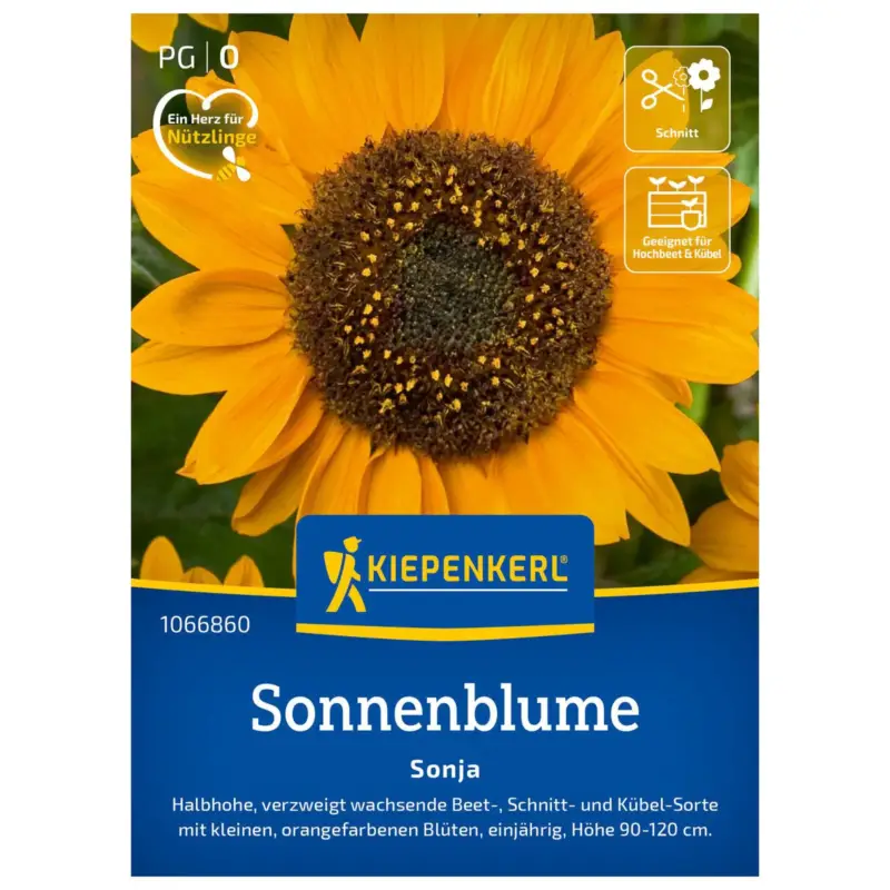 Nur Für Kurze Zeit Blumensamen, Sonnenblume 'Sonja'