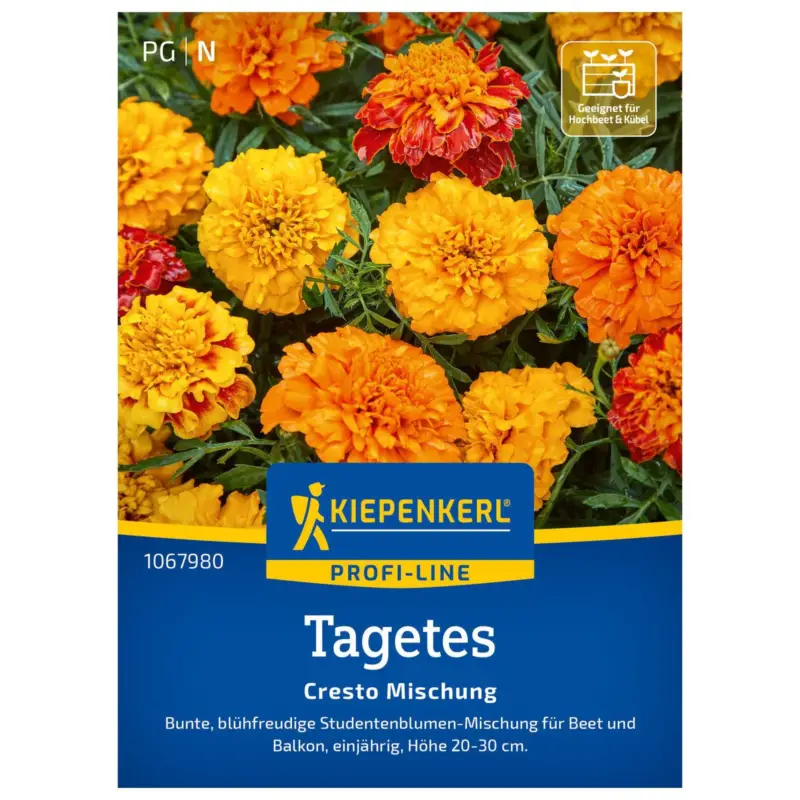 Blumensamen, Studentenblume 'Cresto Mix' Begrenztes Angebot