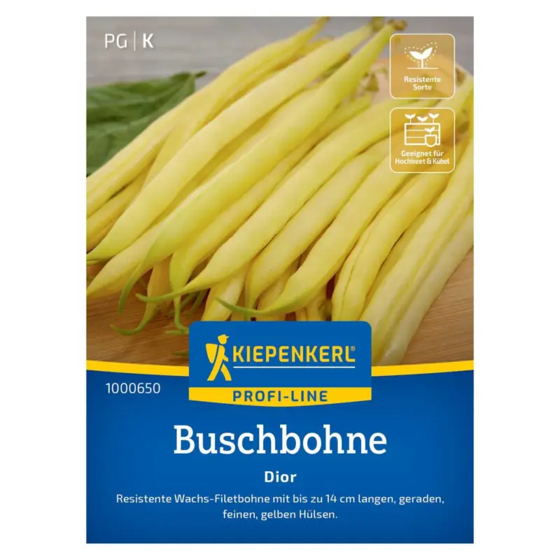 Sichere Zahlung Saatgut, Buschbohne 'Dior'