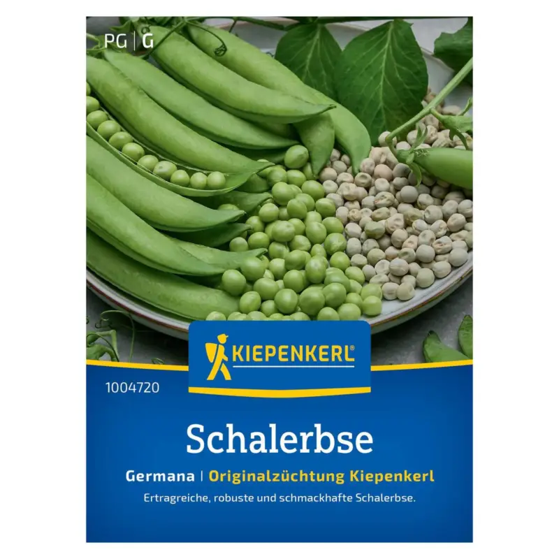 Saatgut, Schalerbse 'Germana' Nur Heute