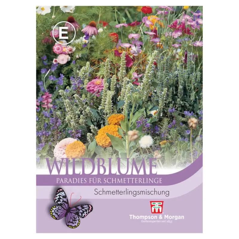 Wildblumensamen Schmetterlingsmischung Expressversand
