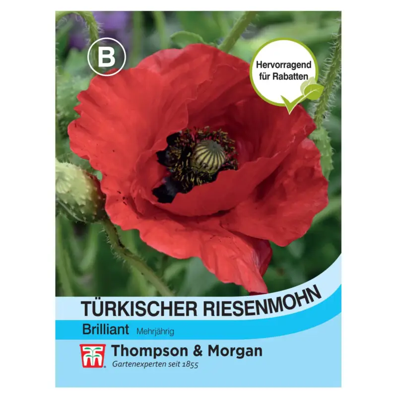 Letzte Chance Blumensamen Türkischer Riesenmohn 'Brillant', rot