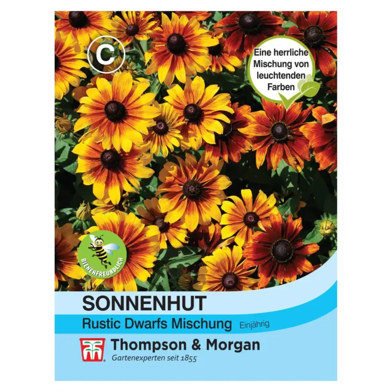 Angebot Samenmischung Sonnenhut 'Rustic Dwarfs', bunt